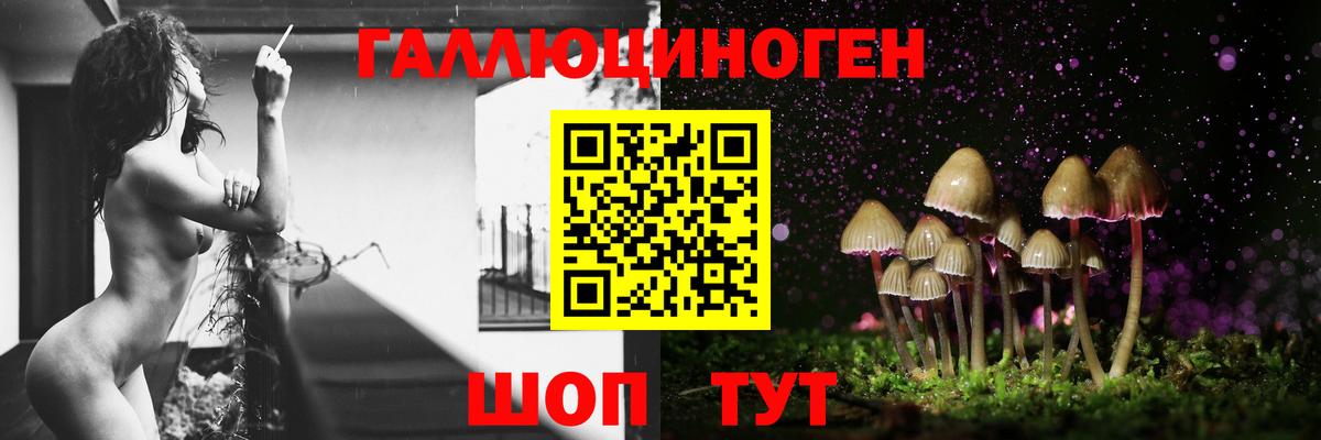 Тобольск  Галлюциногенные грибы Psilocybine cubensis  купить наркотик  Вход с VPN  Псилоцибиновые грибы ЛСД 